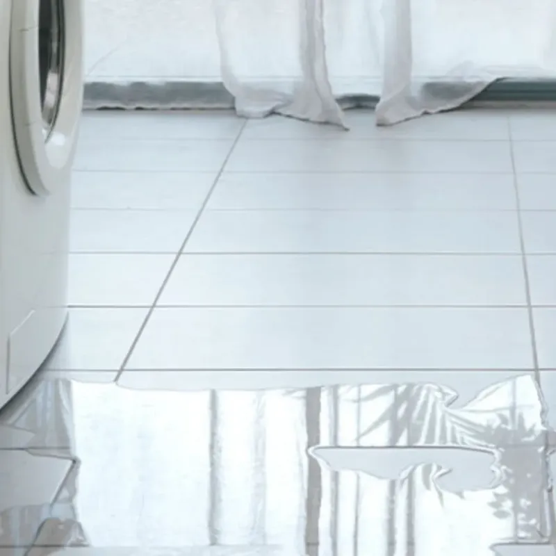 Appliance Leak Cleanup in Wonder Lake, IL
