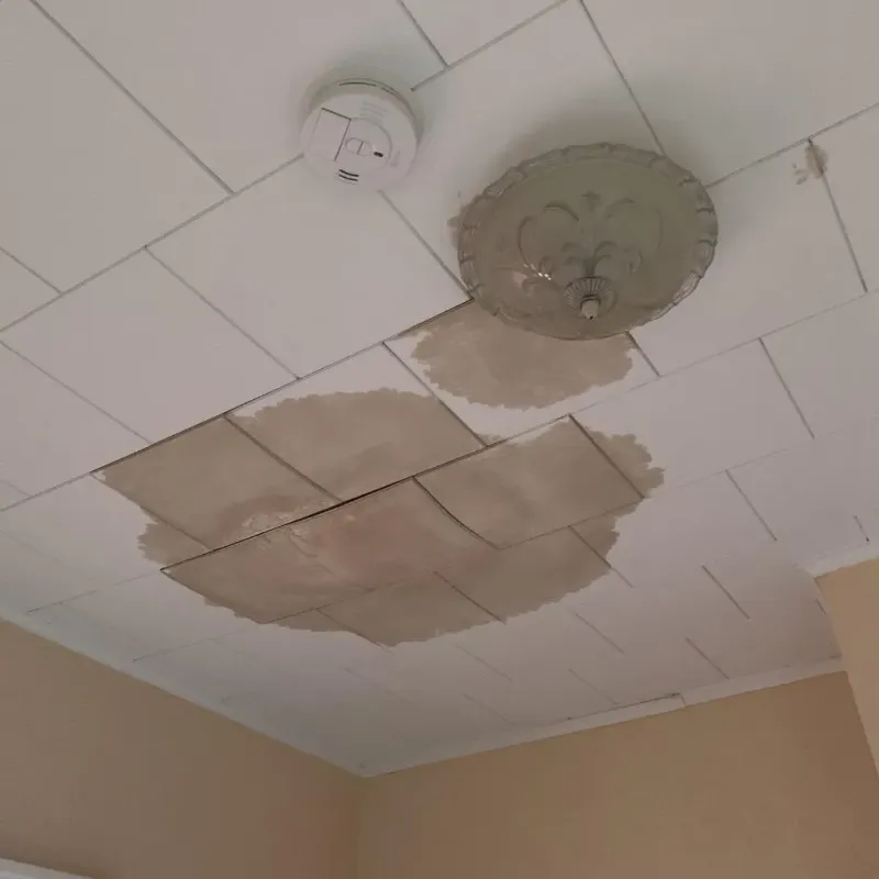 Ceiling Water Damage Repair in Wonder Lake, IL