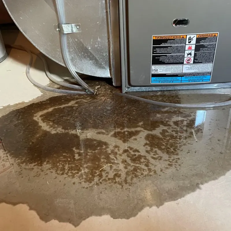 Pipe Burst and Leak Restoration in Wonder Lake, IL