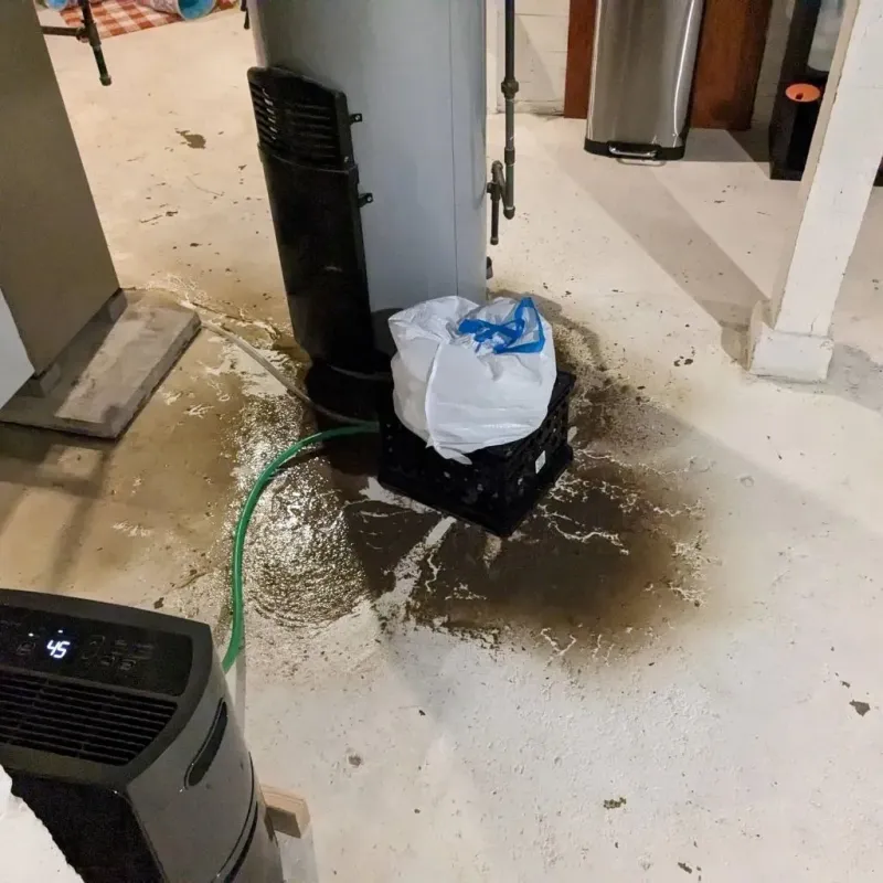 Sewage Backup Cleanup Service in Wonder Lake, IL